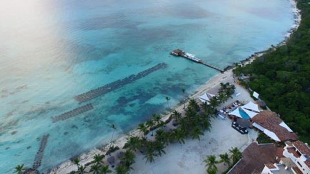 Cadaques Caribe Pez 103 Lejlighed Bayahíbe Eksteriør billede