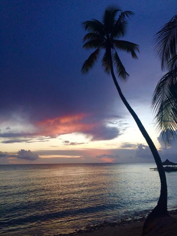 Cadaques Caribe Pez 103 Lejlighed Bayahíbe Eksteriør billede