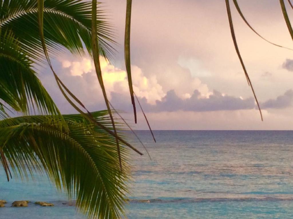 Cadaques Caribe Pez 103 Lejlighed Bayahíbe Eksteriør billede