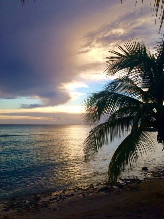 Cadaques Caribe Pez 103 Lejlighed Bayahíbe Eksteriør billede